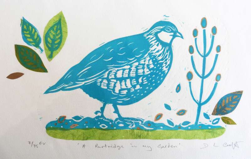 A Partridge in My Garden 